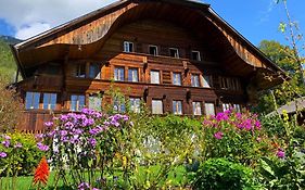 Swiss Mountain-Valley View Lodge