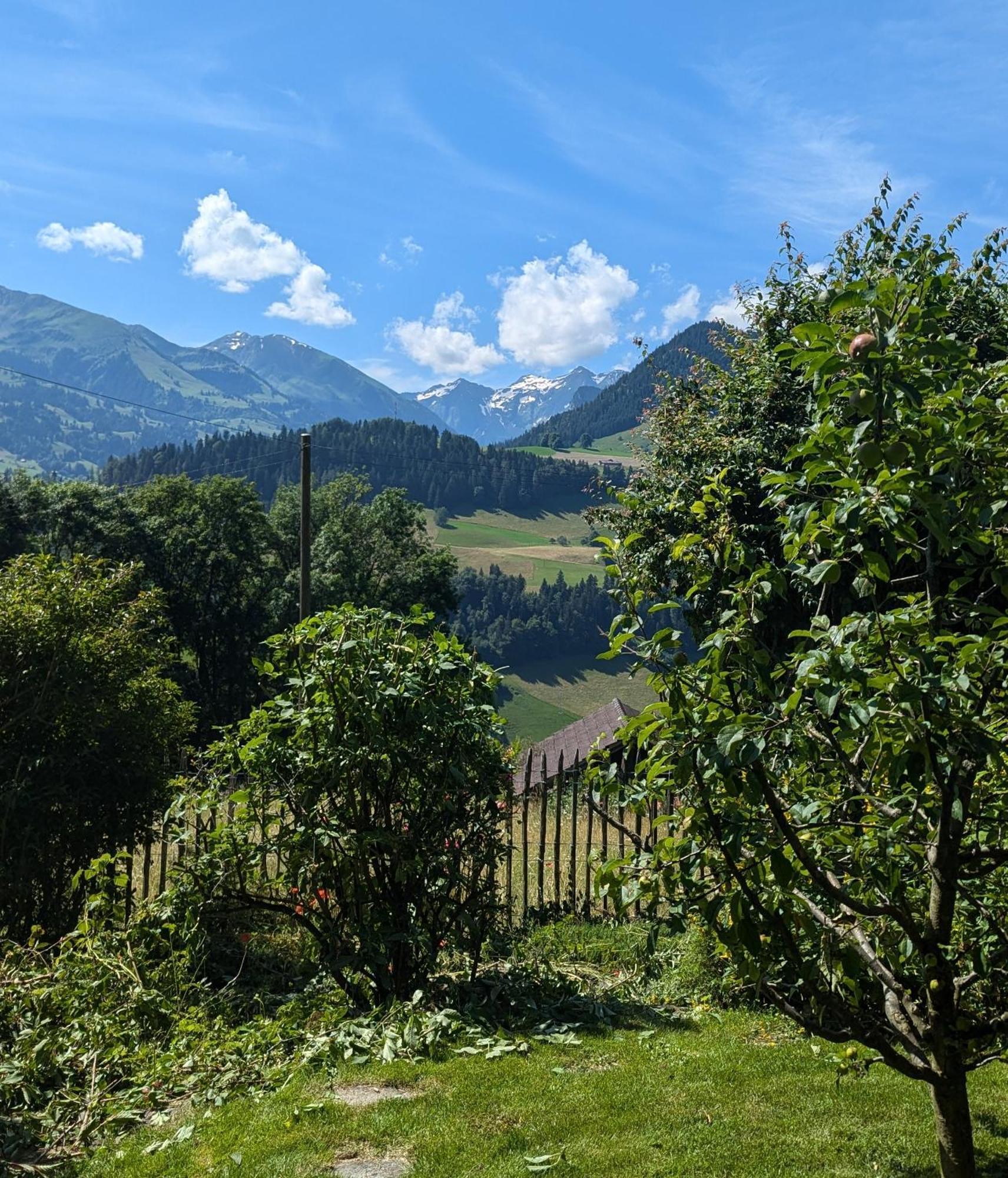 Swiss Mountain-Valley View Lodge Erlenbach im Simmental Exterior photo