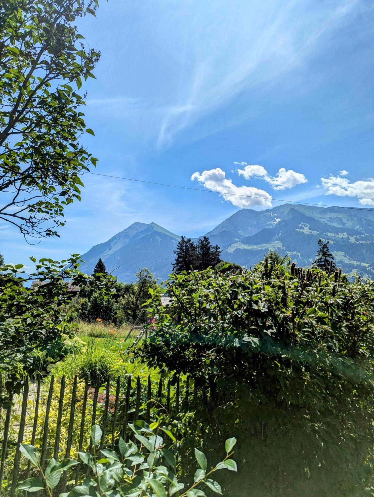 Swiss Mountain-Valley View Lodge Erlenbach im Simmental Exterior photo