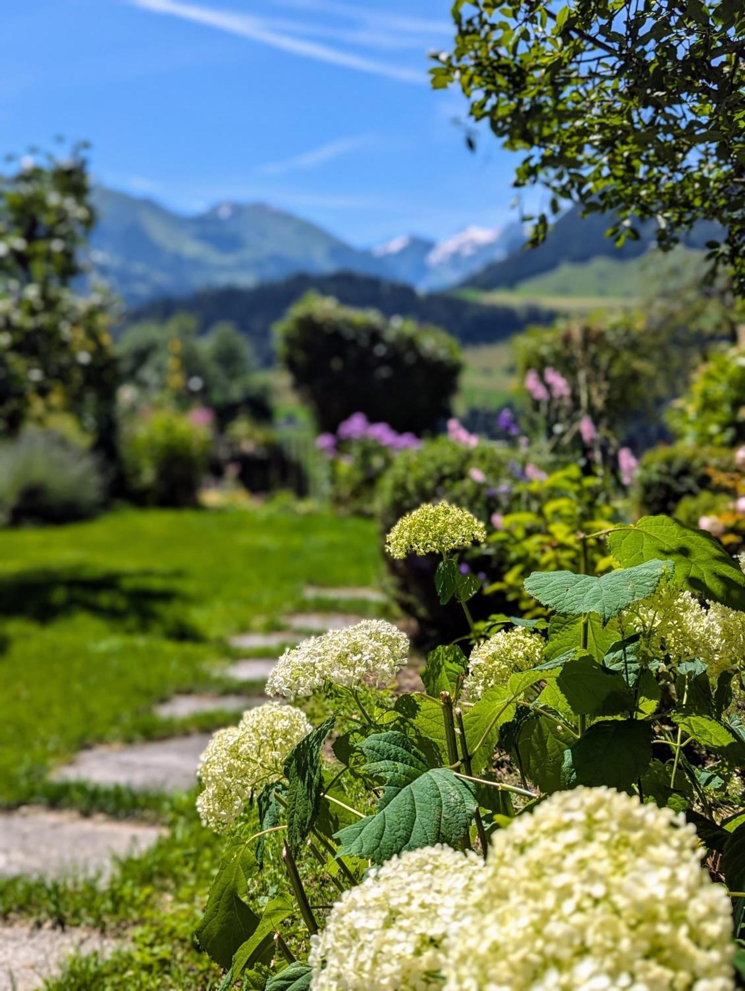 Swiss Mountain-Valley View Lodge Erlenbach im Simmental Exterior photo