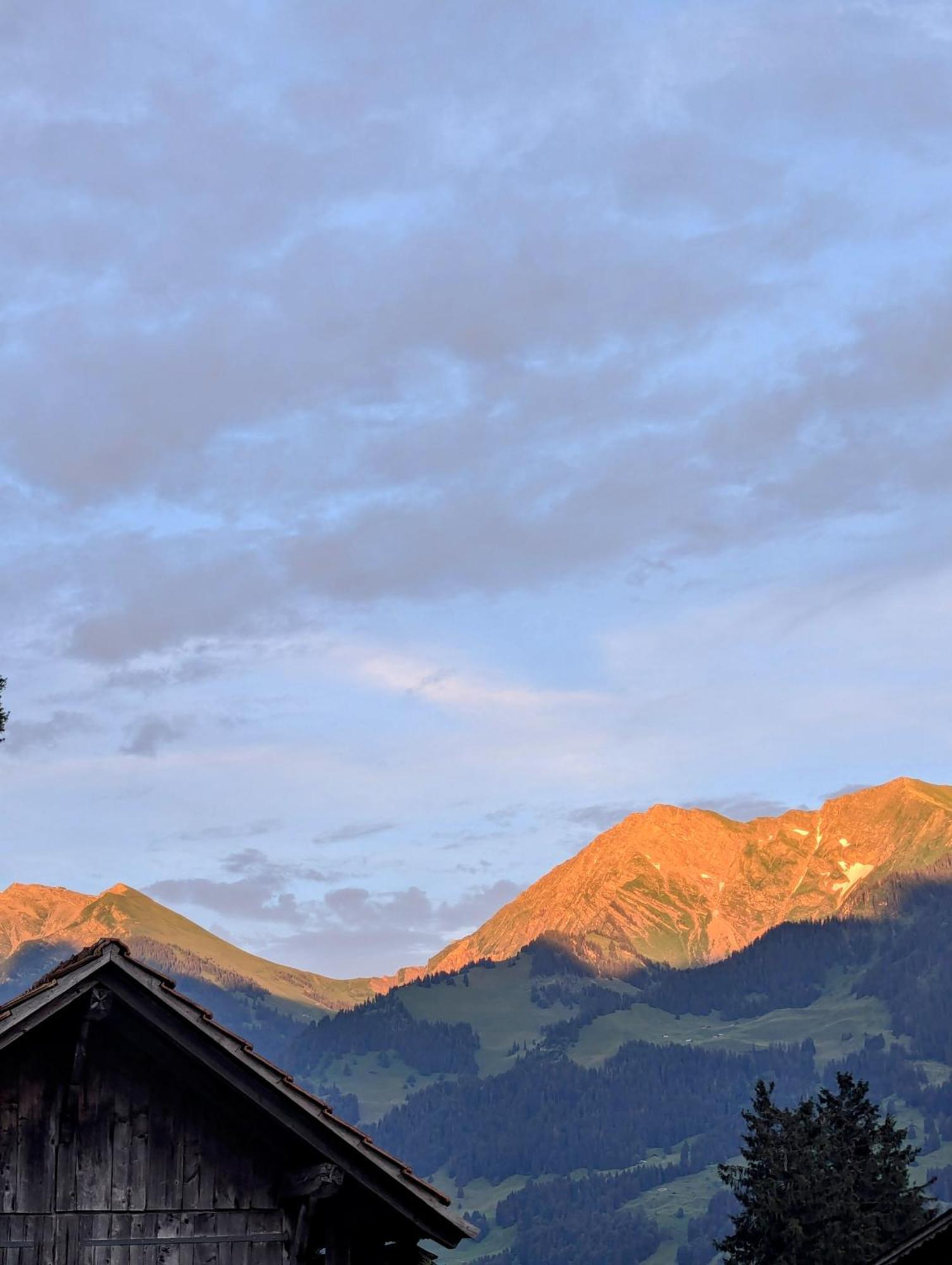 Swiss Mountain-Valley View Lodge Erlenbach im Simmental Exterior photo