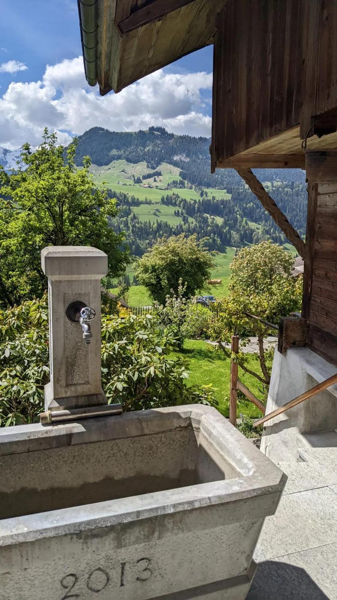 Swiss Mountain-Valley View Lodge Erlenbach im Simmental Exterior photo