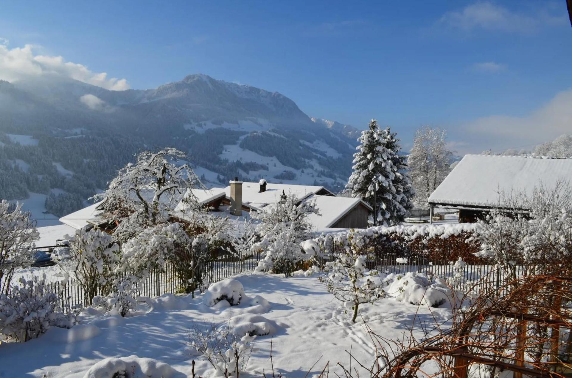 Swiss Mountain-Valley View Lodge Erlenbach im Simmental Exterior photo